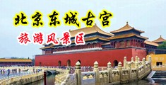 黄色乱破处视频网站在线观看中国北京-东城古宫旅游风景区